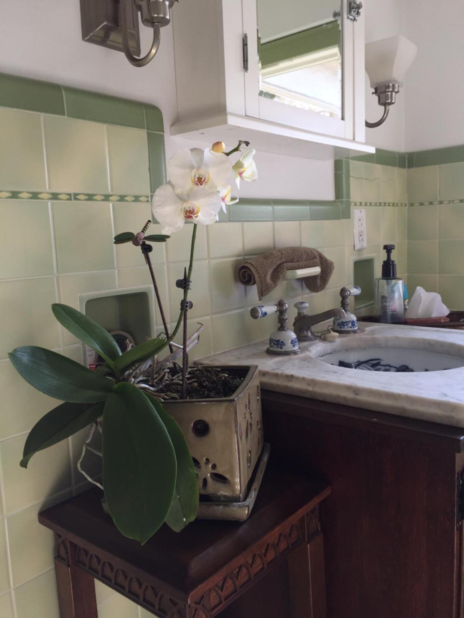 Mike & Allen'S Place On The Park_2 Columbus Bagian luar foto